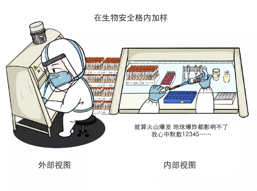 核酸的检测有多麻烦？看完我都不好意思催结果了_http://www.jidianku.com_教育资讯_第13张